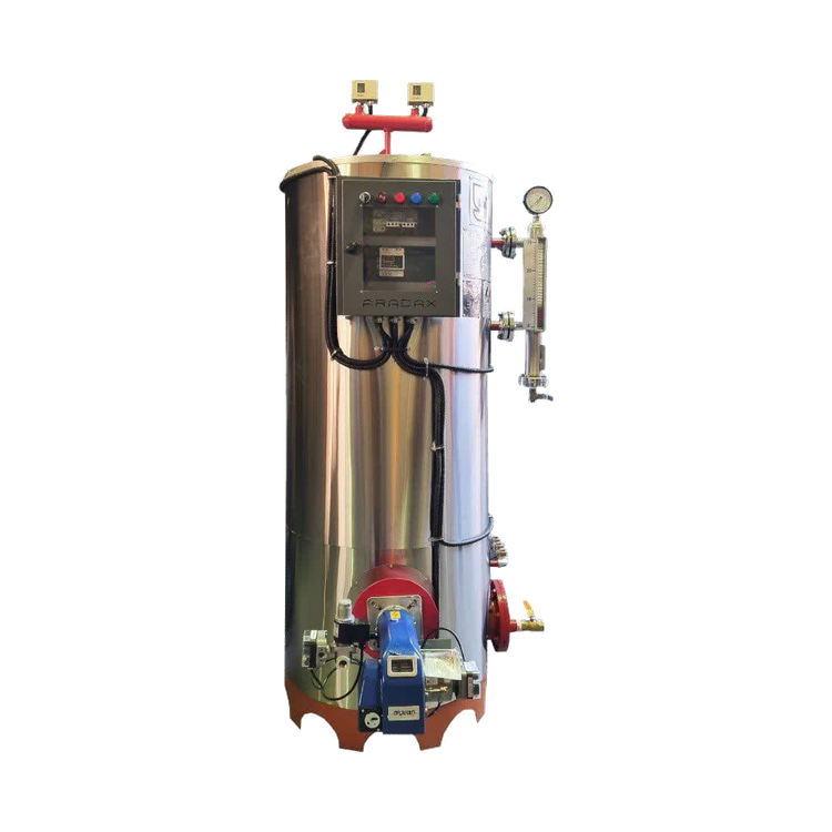 دیگ بخار 20 اسب بخار